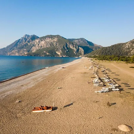 Serenity * Çıralı