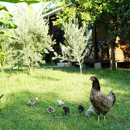 Сasa de vacaciones Serenity *