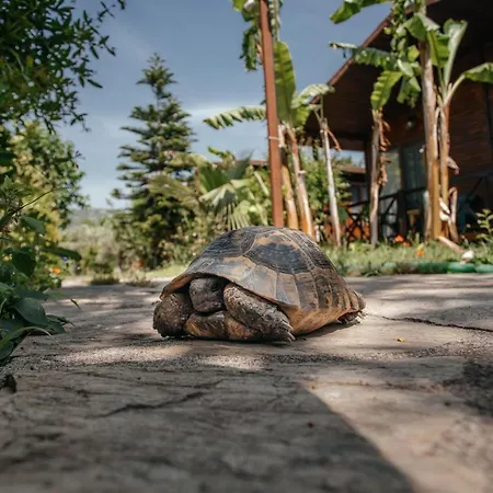 Сasa de vacaciones Serenity *