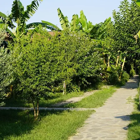 Serenity Çıralı